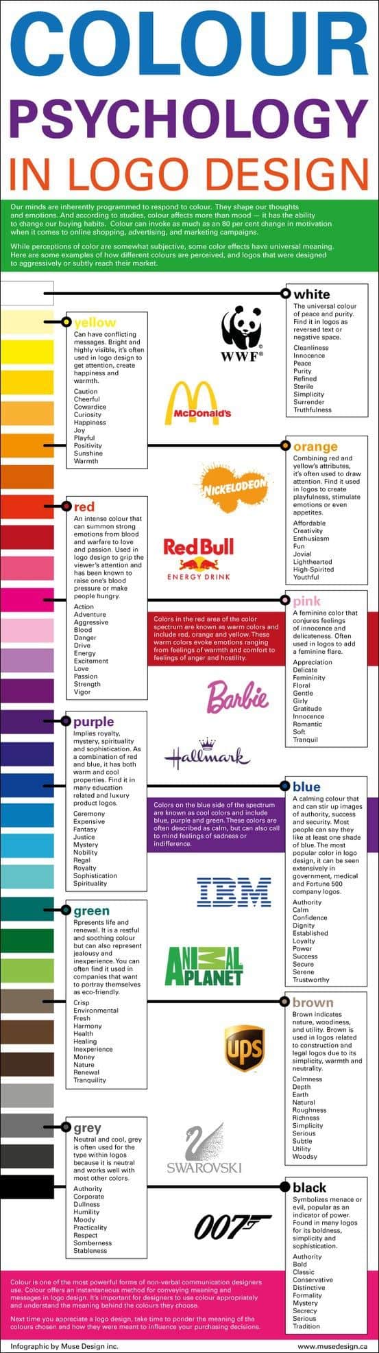 Understanding Your Company Logo